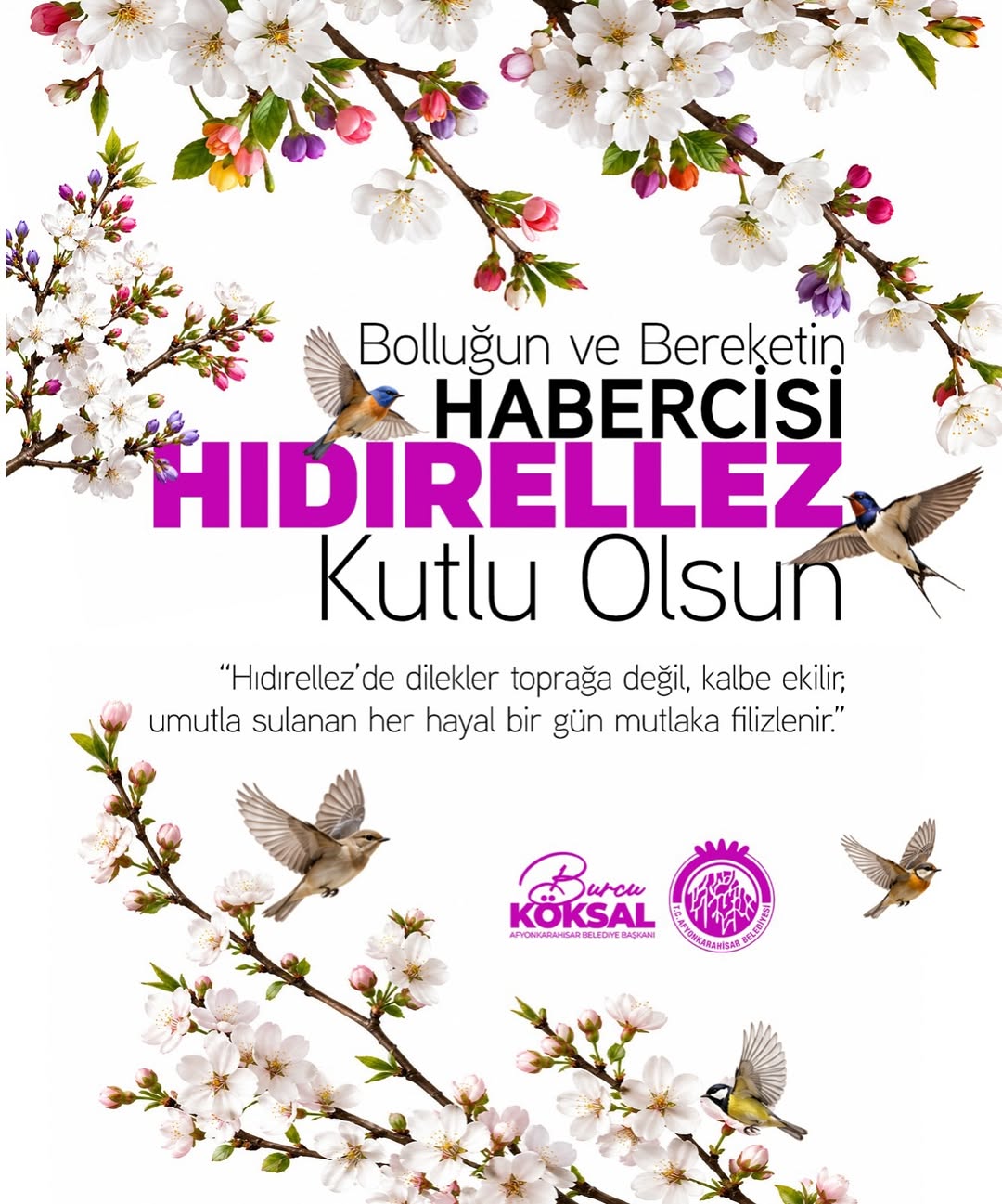 Afyonkarahisar Belediye Başkanı Burcu Köksal'dan Hıdırellez Kutlama Mesajı