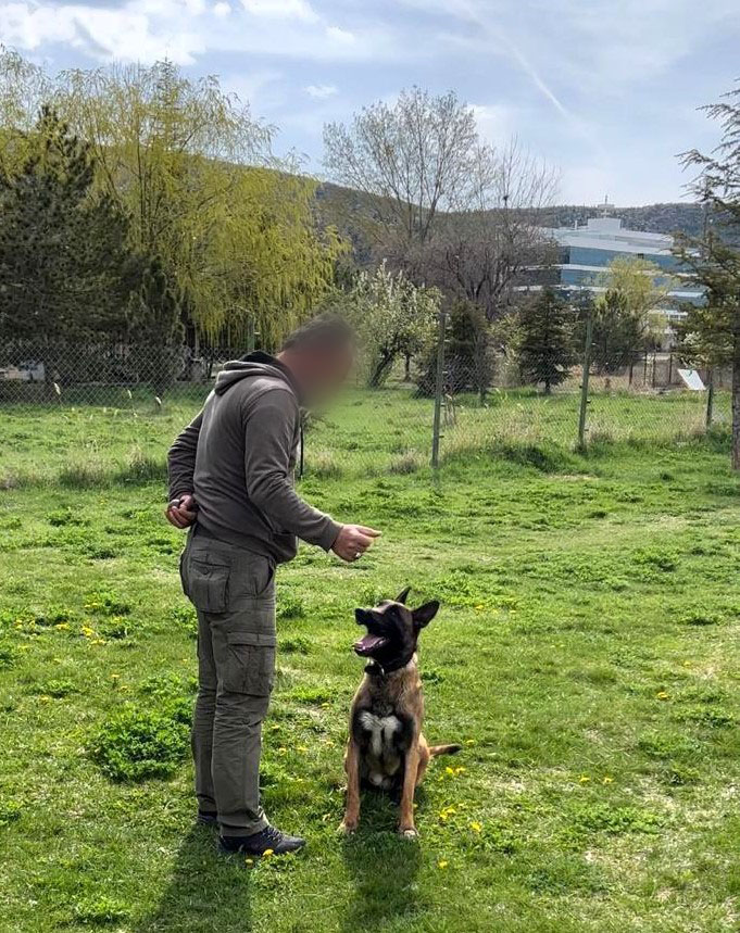 Afyonkarahisar'da Uyuşturucu ile Mücadelenin Gizli Kahramanları: Narkotik Köpekler