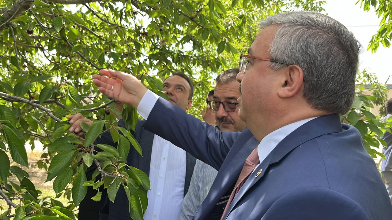 Afyonkarahisar'da Zirai Don Alarmı: Meyve Üreticisi Endişeli