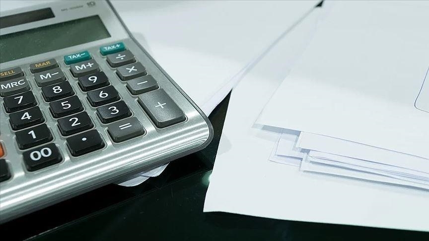 Şirketlerin Enflasyona Karşı Koruma Yöntemlerine Denetim