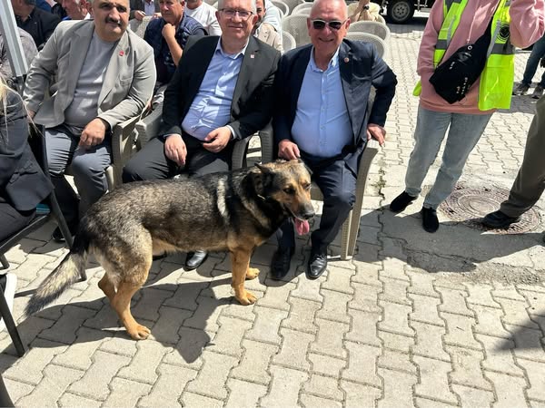 Afyonkarahisar'dan Can Dostlarına Destek: Yeni Mama Tesisleri Açıldı